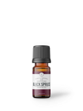 Black Spruce | 10 ml