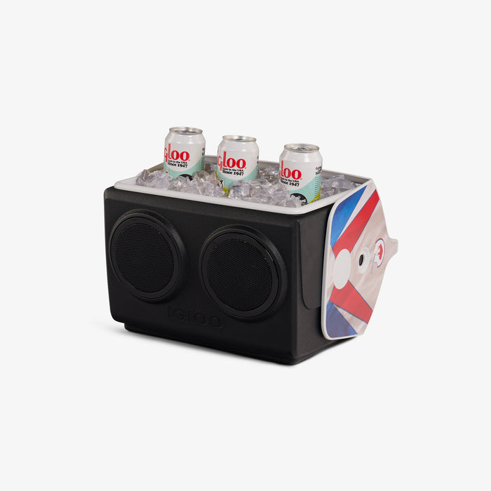 Ice View | Buffalo Bills KoolTunes::::Advanced insulation