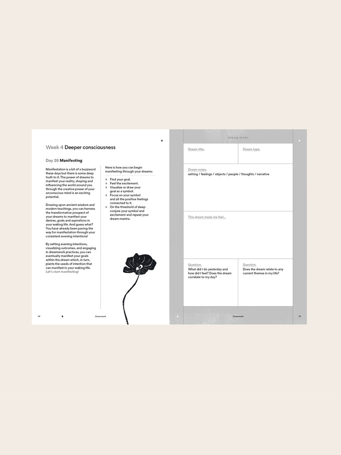 Inner Work Project Journal - Dreamwork