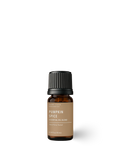 Pumpkin Spice | 10 ml