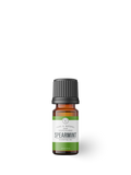 Spearmint | 10 ml
