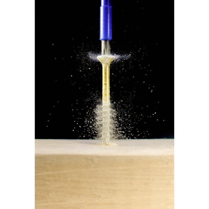 TerminatorBlue Impact Bit Torx T20 - 2 Inch - 5 Pack