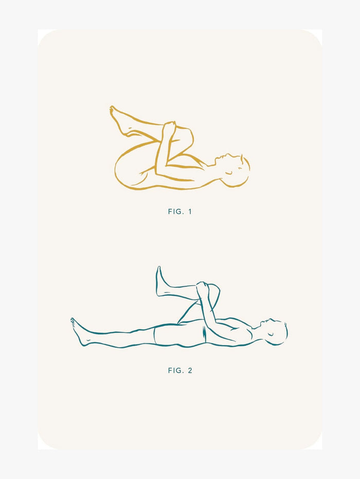 The Yoga Deck (Updated Edition): 50 Poses & Meditations